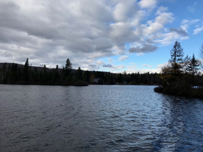 Photo: Adam Finkelstein